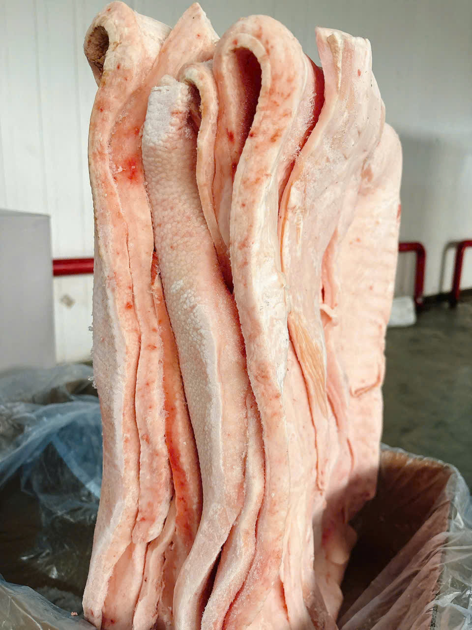 Mua mỡ heo đông lạnh ở đâu uy tín, giá rẻ?